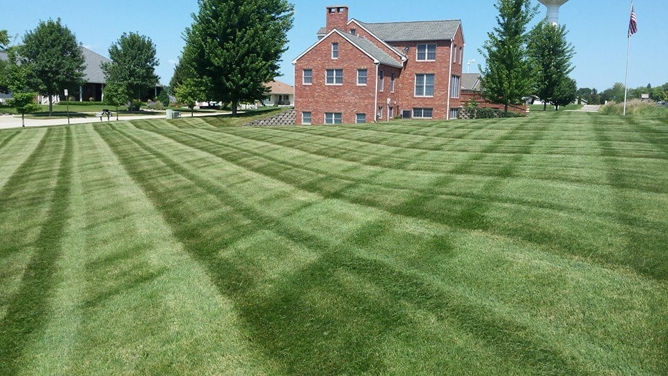 Lawn Maintenance