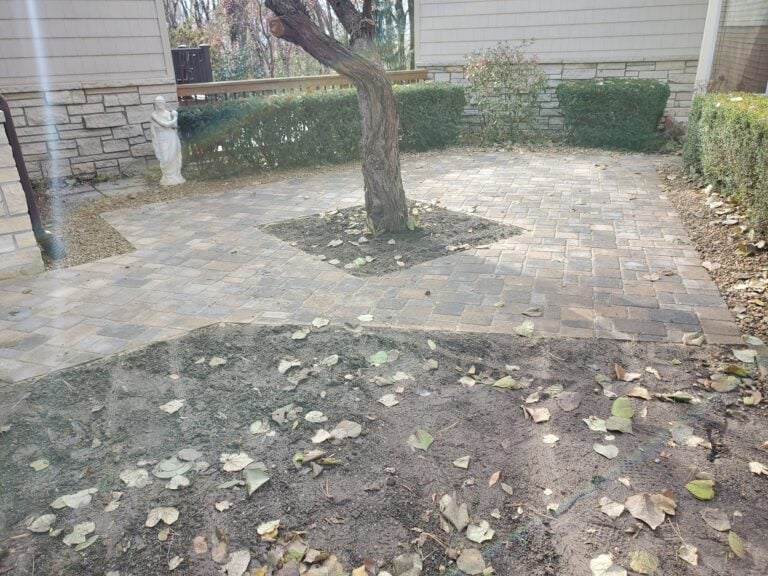 Backyard paver patio installation with a tree centerpiece, surrounded by neatly trimmed bushes and stone siding. The newly laid pavers create a functional and stylish outdoor space.