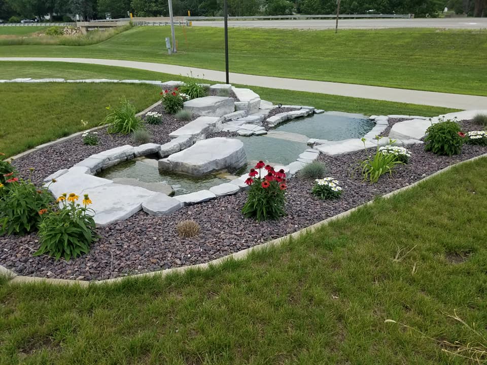 Shrub and tree planting near hardscape