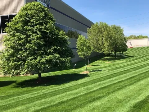 Commercial Lawn Care in Cedar Rapids