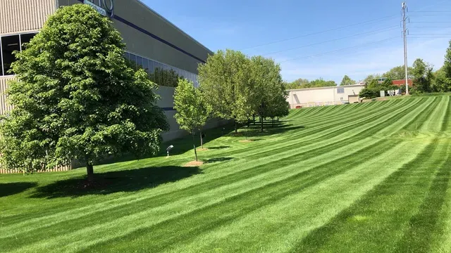 Commercial Lawn care in Cedar Rapids